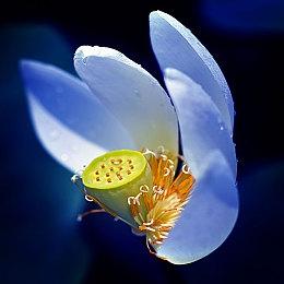 V社警告A卡Anti-Lag+功能：开启就封号